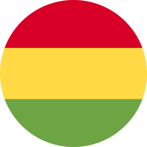 Bolivian flag