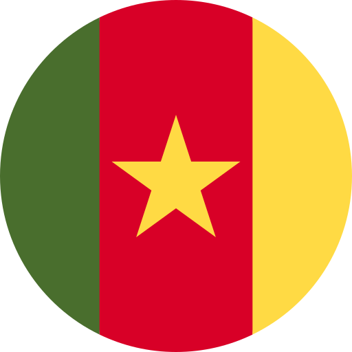 Cameroonian flag